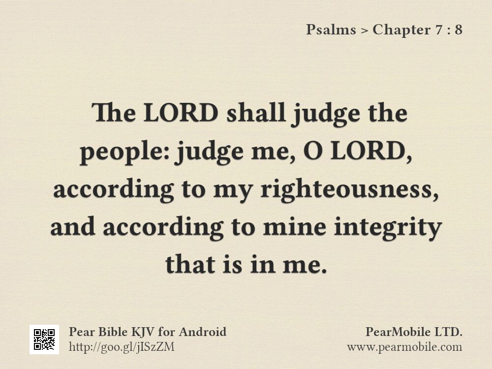 Psalms, Chapter 7:8